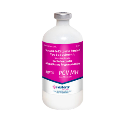 Fostera PVC MH