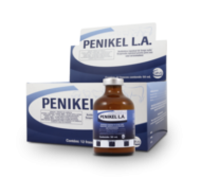 Penikel L.A.