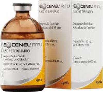 Excenel RTU