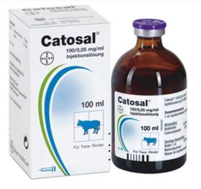 Catosal B12