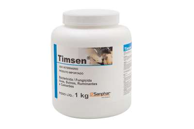 Timsen